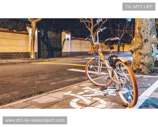 自行车团队时间试验显示协同效应